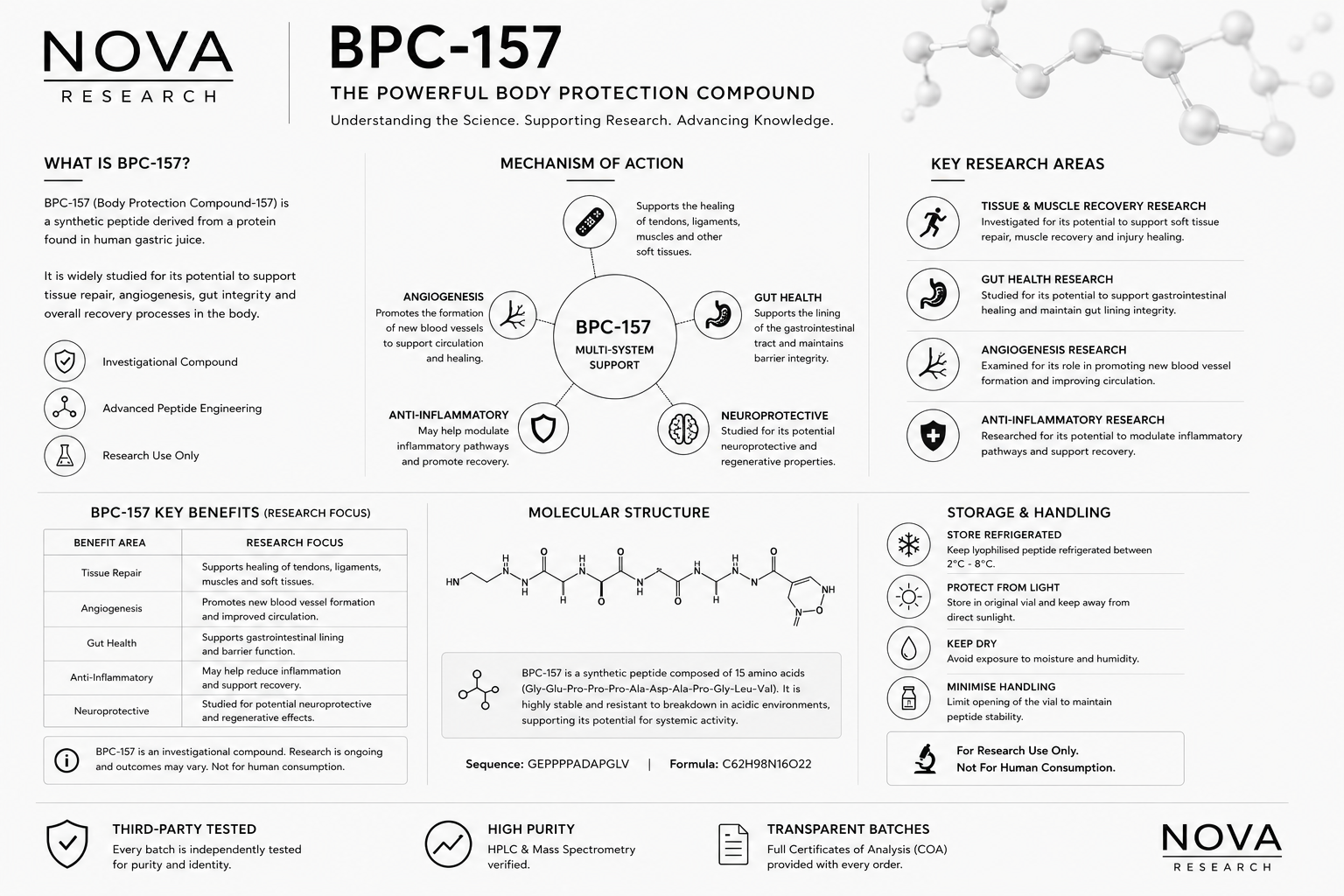 What Is BPC-157? Research, Stability & Scientific Interest.