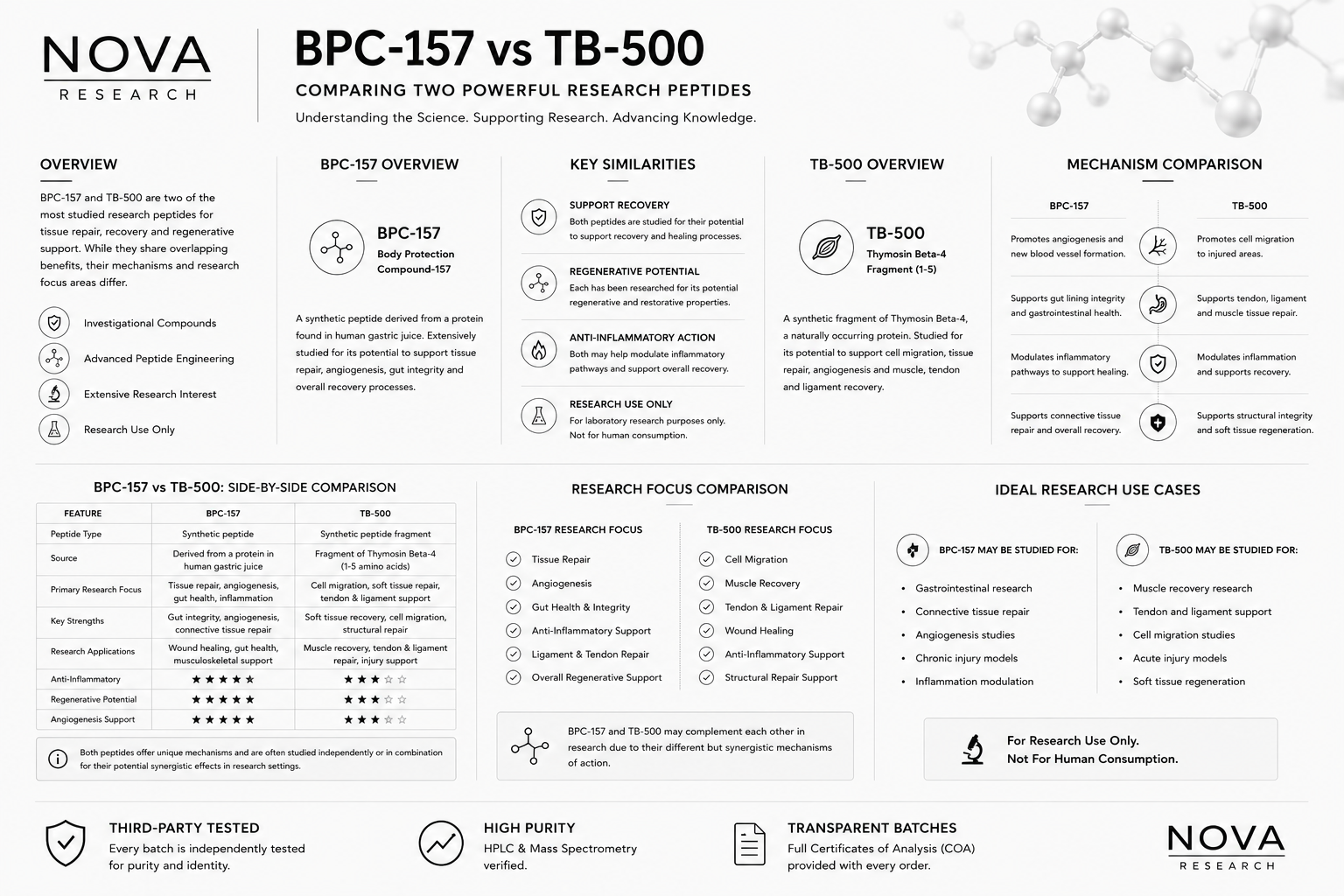 BPC-157 vs TB-500: What’s The Difference?