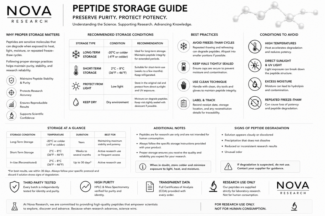 Peptide Storage & Stability Guide: Understanding Temperature, Handling & Compound Integrity